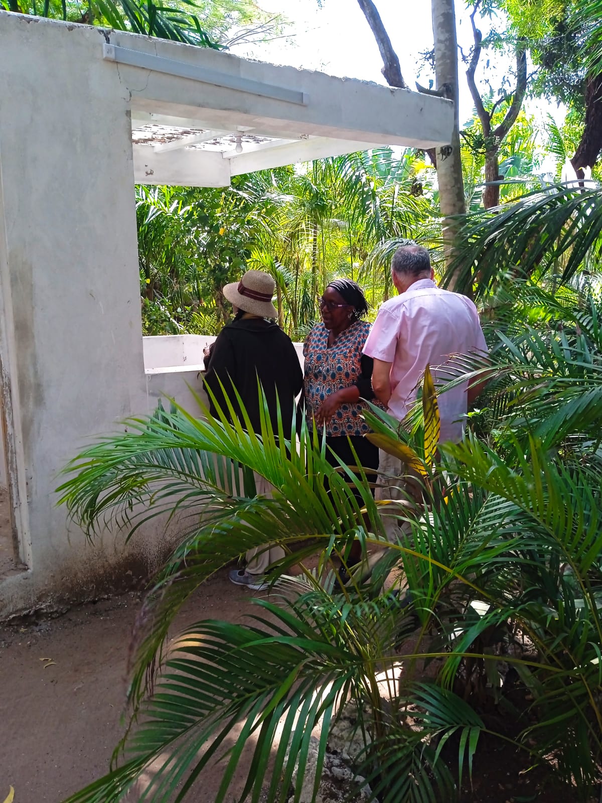 Nature-based wellness and restorative space evidence from Spills of Eden